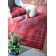 Tapis de style oriental rouge
