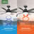 Donatella 52" 6 - Blade Ceiling Fan with Lights and Remote-83665632