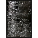 Burp!' Framed Photographic Print