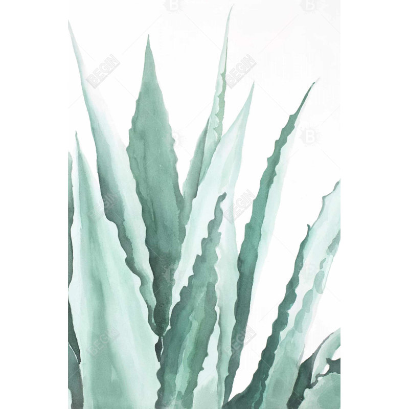 Watercolor agave plant Bath Mat with Non-Slip Backing - Quick Dry Memory Foam Bathroom Rug - Absorbent - Modern Plush Spa-Style - Machine Washable