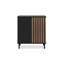 Selvin Rectangle Storage Unit Accent Chest