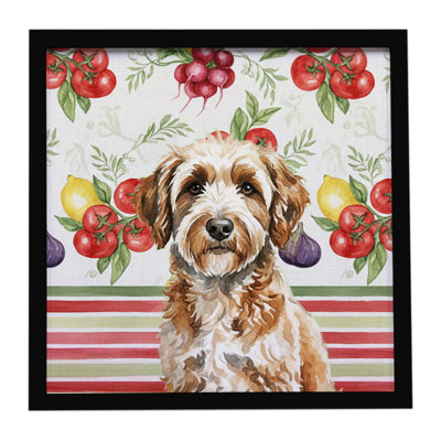 «Lagotto Romagnolo Légumes», reproduction d'art encadrée