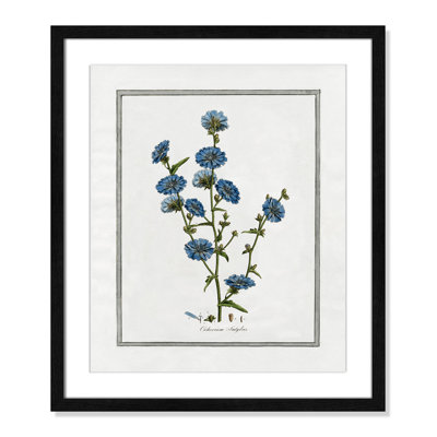 Colombe "Soft Botanical I" Print