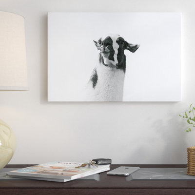 " Lovable Llama I "