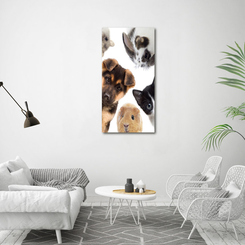 Pets - Wrapped Canvas Print