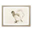 Ducklings by Katsushika Hokusai - Picture Frame Painting Print-55545807-55545809