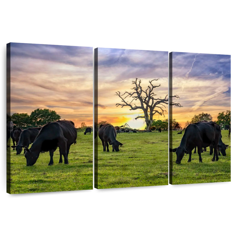 Brampt Grazing Aberdeen Angus, 32" H x 50" W