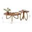 Ensemble de tables basses Modern
