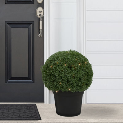 20" Pre-Lit Artificial Boxwood Ball Topiary in Round Pot Clear Lights