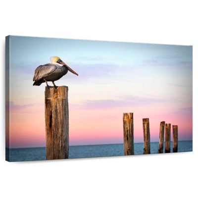 Brampt Fort Myers Pelican At Sunset