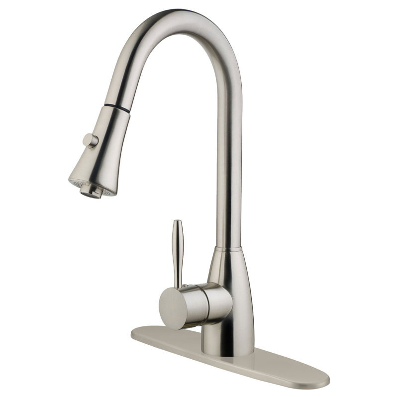 LessCare Pull Out Kitchen Faucet