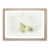 Oak Framed selected
