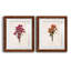 " Sketchbook Chrysanthemum " 2 - Pieces-286667843-286667868-286667825