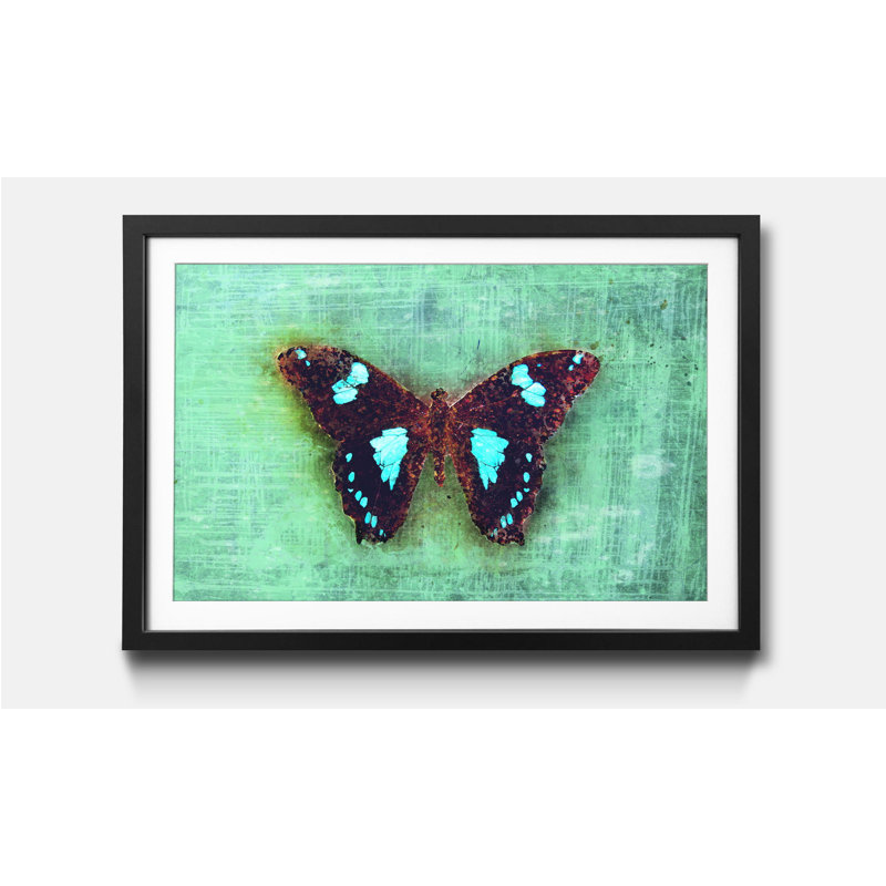 Streetart Gloomy Butterfly - Single Picture Frame Print, 44cm H x 64cm W x 2.2cm D