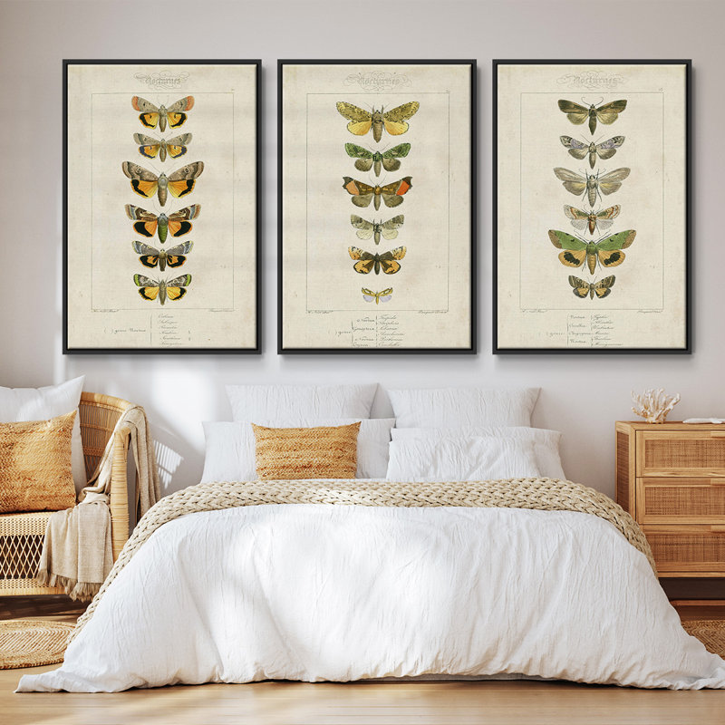 Ensemble de 3 papillons encadrés sur toile,, Noir, H 27 po x l 54 po