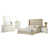 Blanc / Beige / Or