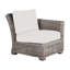 Rustic Patio Lounge Chair with Cushions-1110726972-1172305664-1172305910