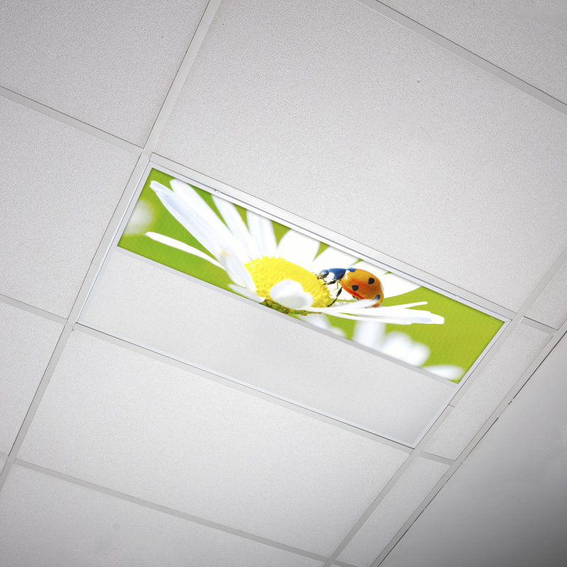 Flower Rectangle Fixture Component Ceiling Light