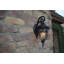 Lanterne murale d'extérieur noir mat Macomber-26803268