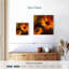 Harnek Gerbera II-111887579