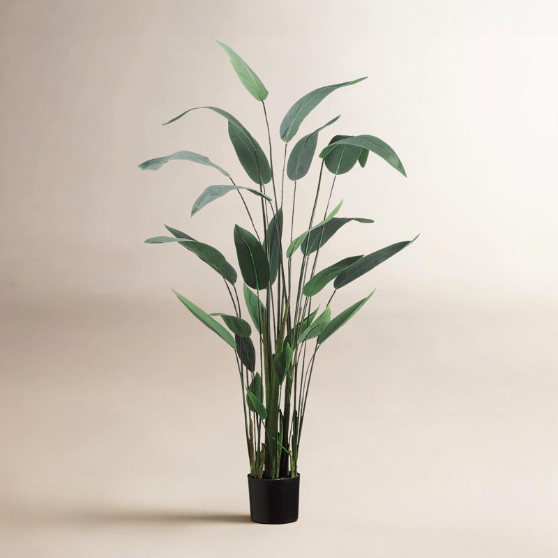 5.5' Faux Water Canna in Liner