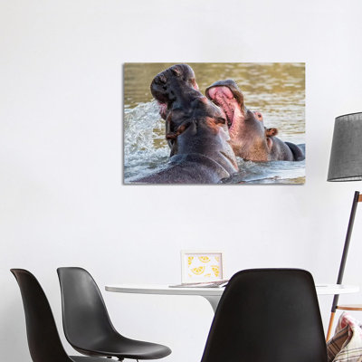 Hippos by MScottPhotography - Wrapped Canvas Gallery-Wrapped Canvas Giclée