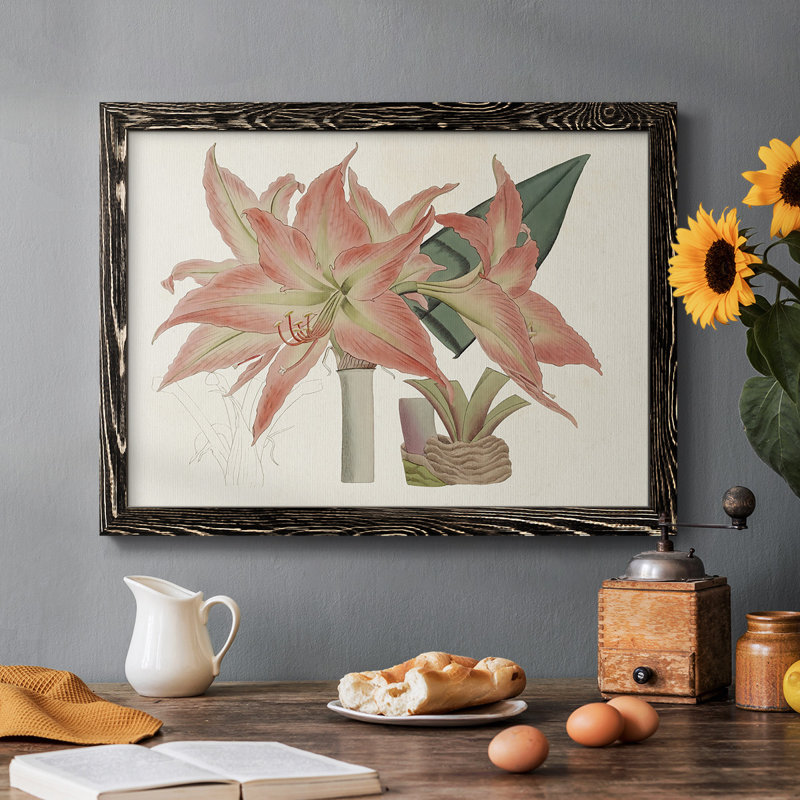 Amaryllis Varietals III, reproduction d'art sur toile, Cadre noir, H 28 po x l 42 po x P 1,5 po