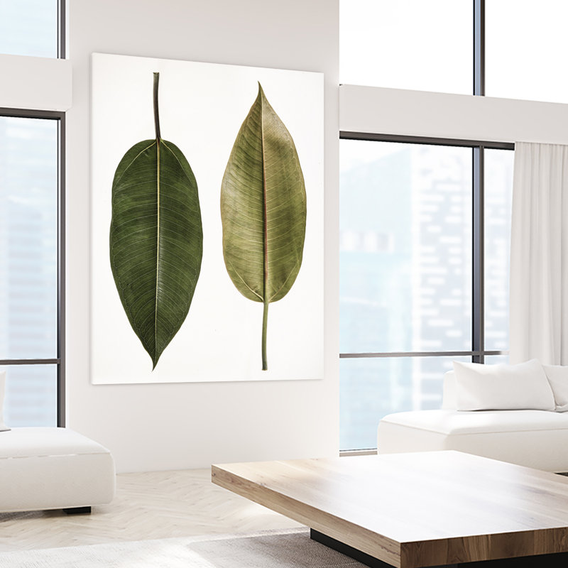 " Leaf Study 05 " by Shot