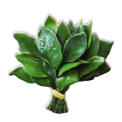 Grapefruit Leaf Refrigerator Magnets Refrigerator Decorations