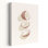 Noix de coco tropicales - nature morte floral, fruits, art tropical