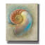 «Aquatica II» par Steve Hunziker, art mural sur toile-61709199