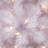 Lighted Fir Christmas Tree-643833949