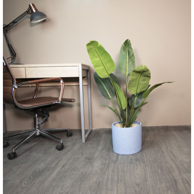 Allayne Ceramic Pot Planter