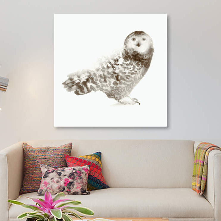 «Owl», reproduction sur toile, H 18 po x l 18 po x P 1,5 po, Toile tendue, Pas de tapis