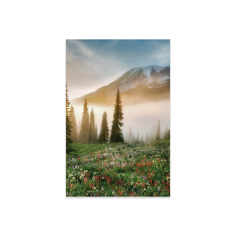 Rainier Wildflowers, Unframed, H 24 po x l 16 po x P 0,25 po