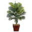 Plante de palmier Silk Areca