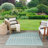Robbs Rectangle Indoor/Outdoor Area Rug-956783417-993372641