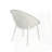 Accent Chair(Set Of 2)