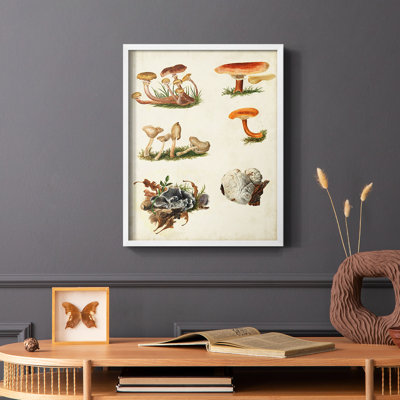 Reproduction encadrée «Mushroom Species X» - bois massif