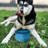 Zippy Bowl-49700127