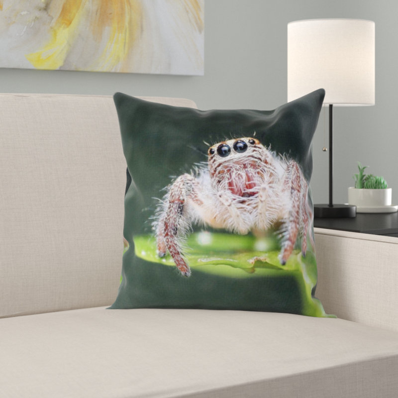 Coussin de spider saut