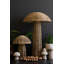 Ensemble de 2 sculptures de champignons Adileni