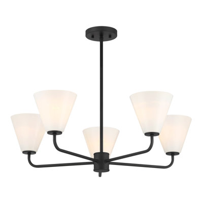 Lustre Hashimoto 