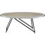 Table basse ovale de style industriel avec finition en chêne gris patiné et supports en métal noir pour une grande surface