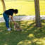 Parc pour chien IRIS USA en métal, parc pour animaux 8 panneaux 30 po, parc pour chiots