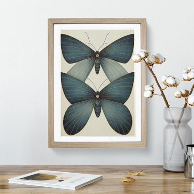 Splendid Butterflies - Single Picture Frame Print
