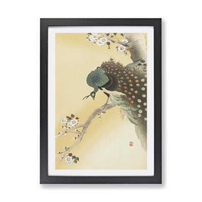 Peacock on A Cherry Blossom Tree by Ohara Koson - Framed Print