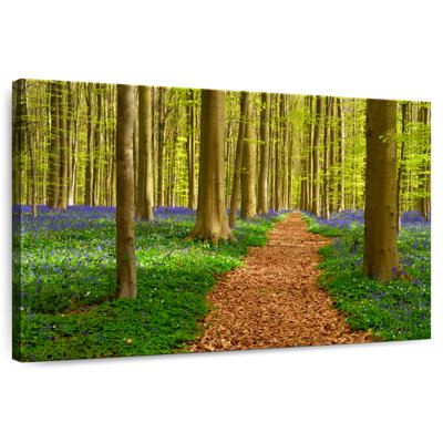 Alvord Hallerbos Beech Path