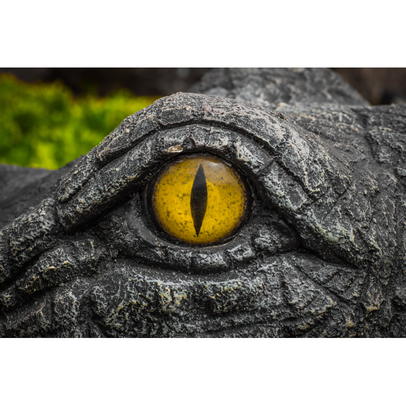 Yeux jaunes de crocodiles, H 12 po x l 18 po x P 1,25 po