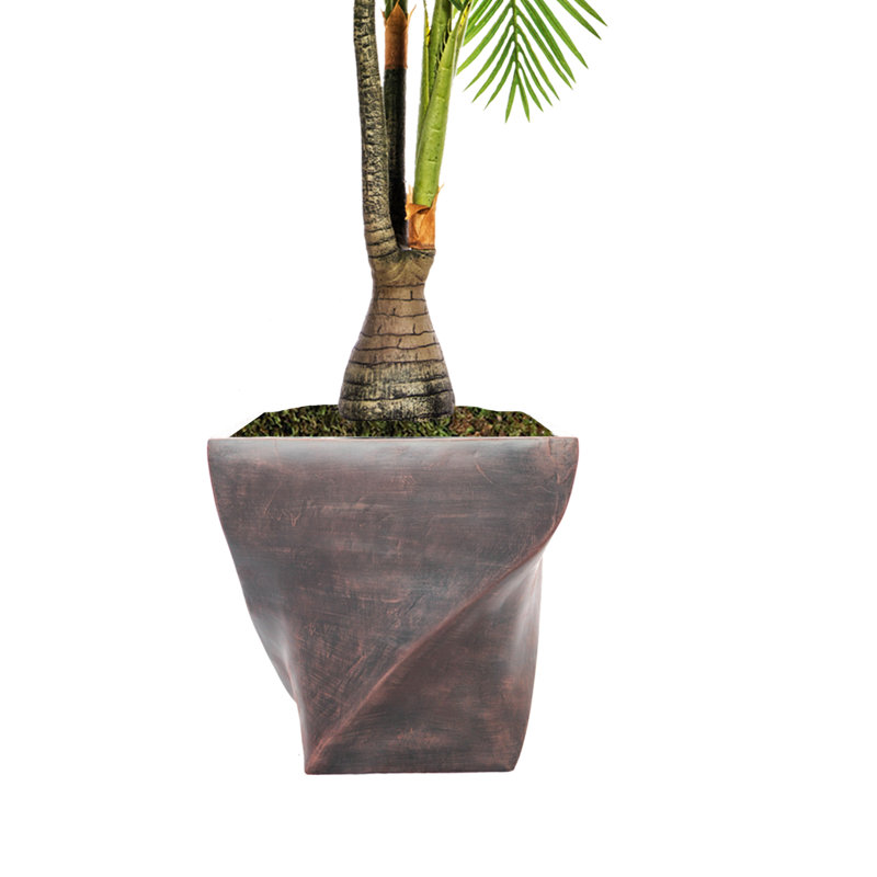 Panama Palm Tree in Planter
